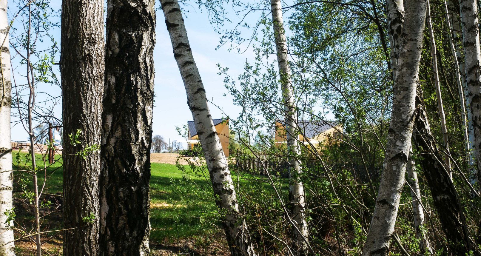 img-889